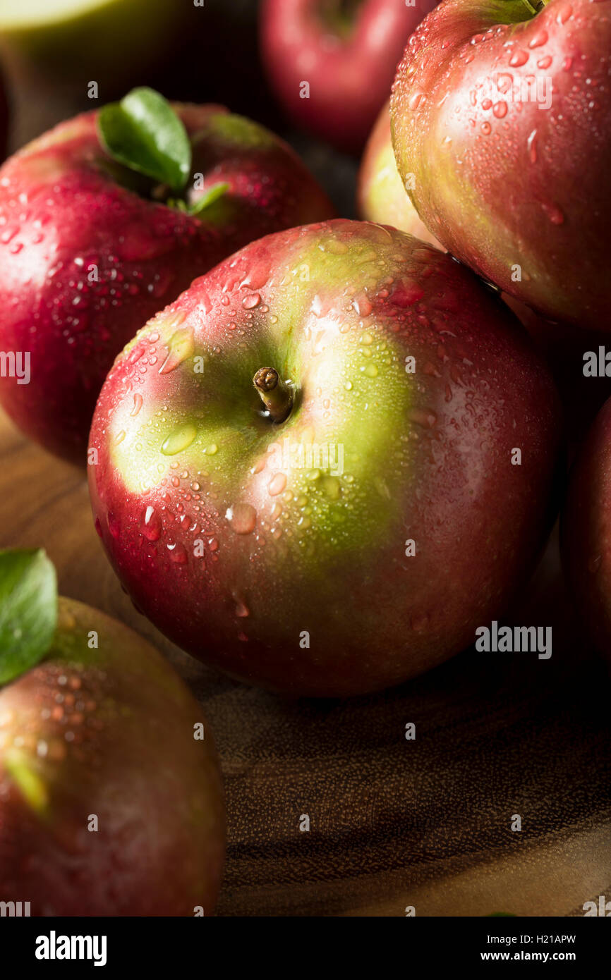 Raw Organic Red Mcintosh Apples Ready for Eating Stock Photo Alamy