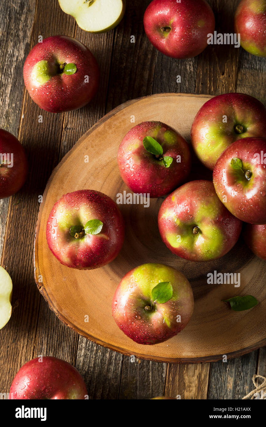 Shiny red mcintosh hires stock photography and images Alamy