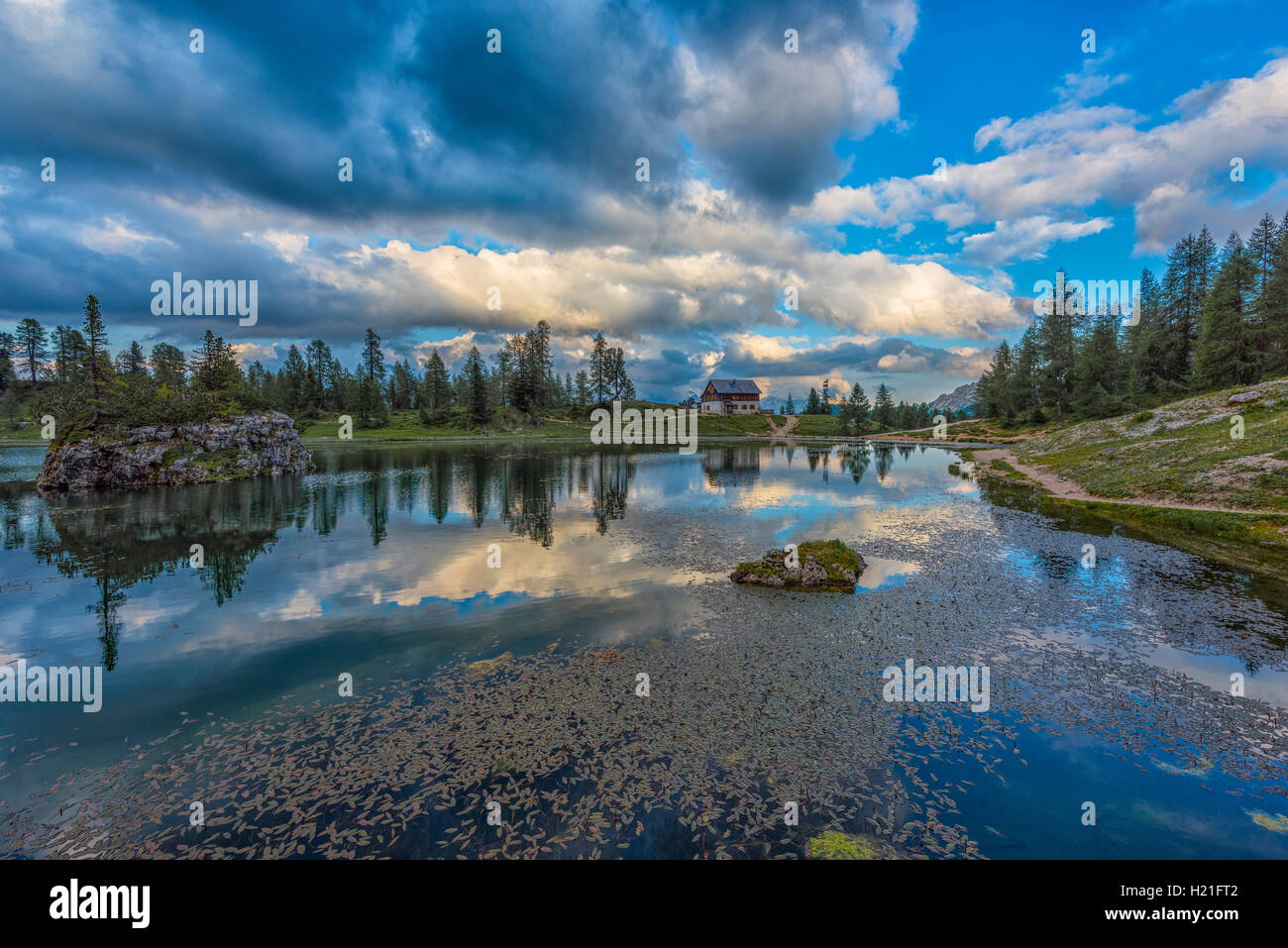 Italy, Veneto, Dolomites, Reflections on lake Federa Stock Photo