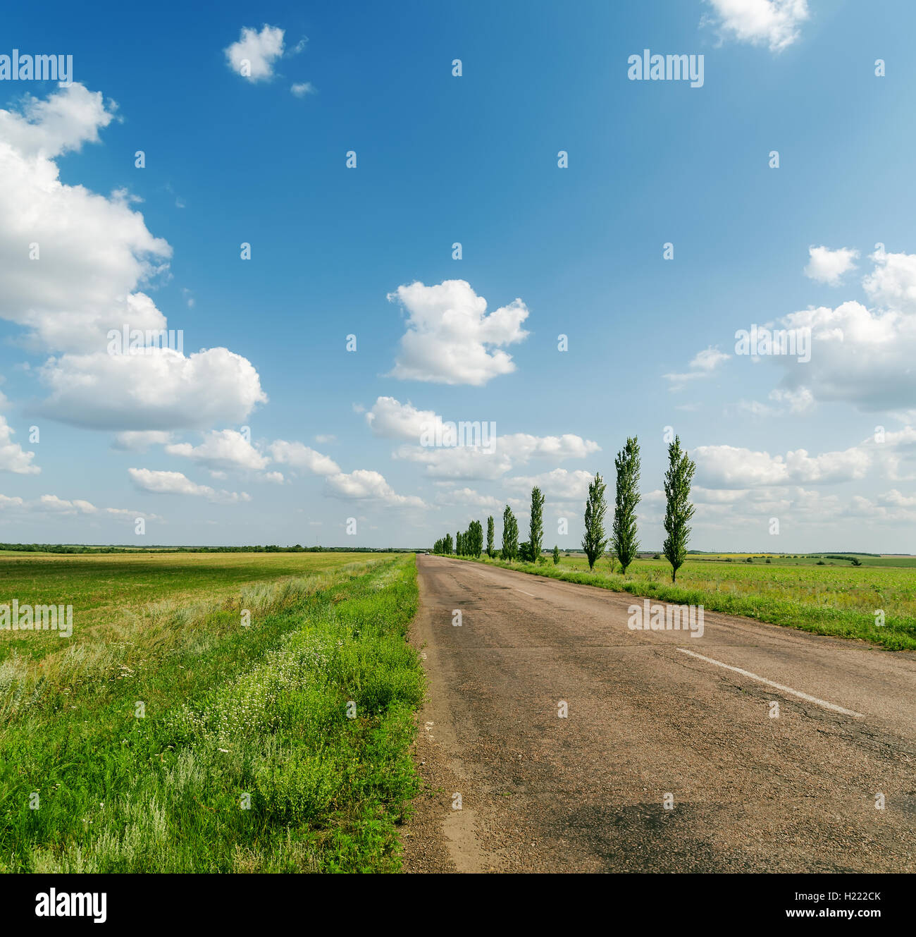 asphalt road in green landscape and blue sky Stock Photo - Alamy