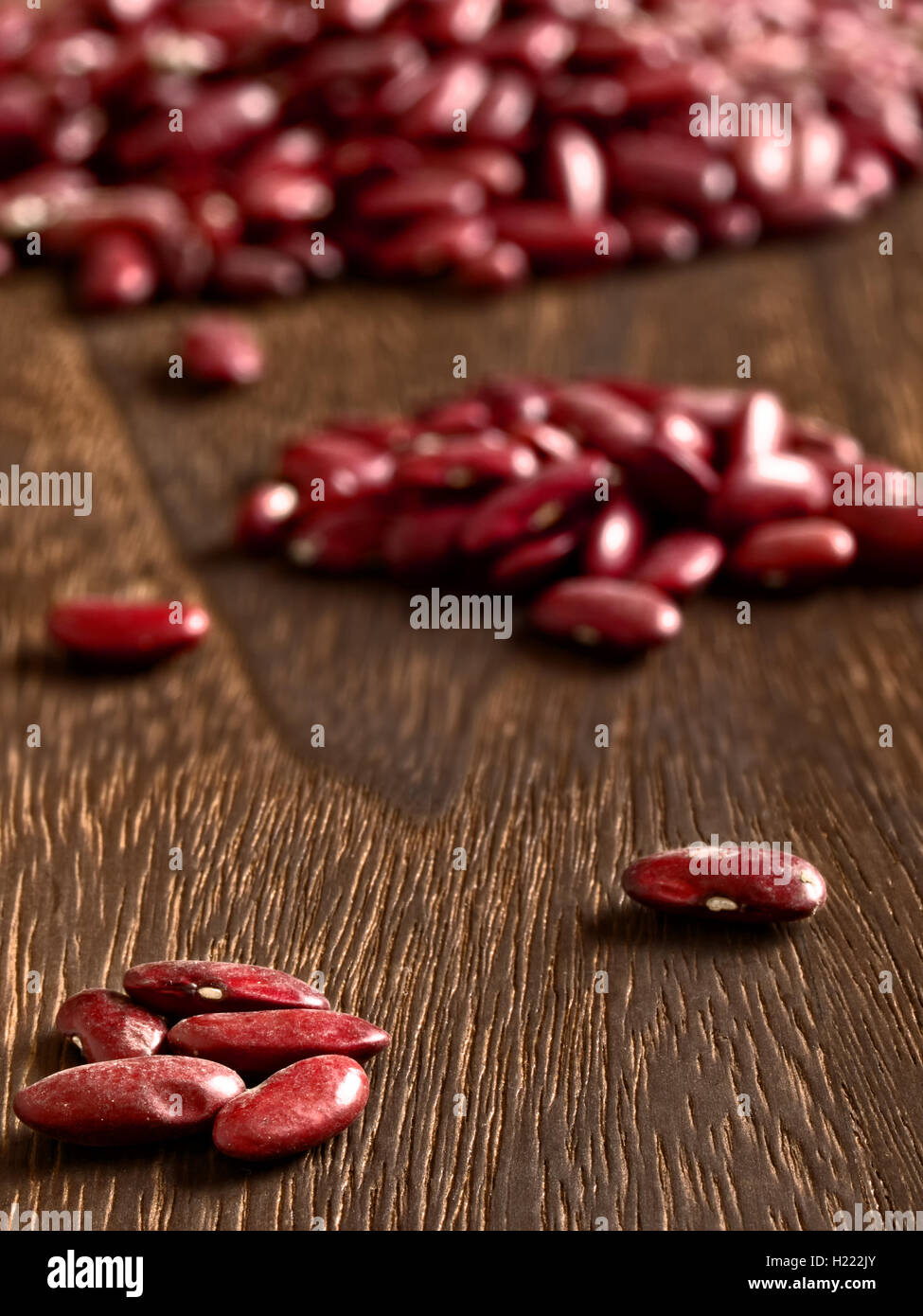 bean counter Stock Photo