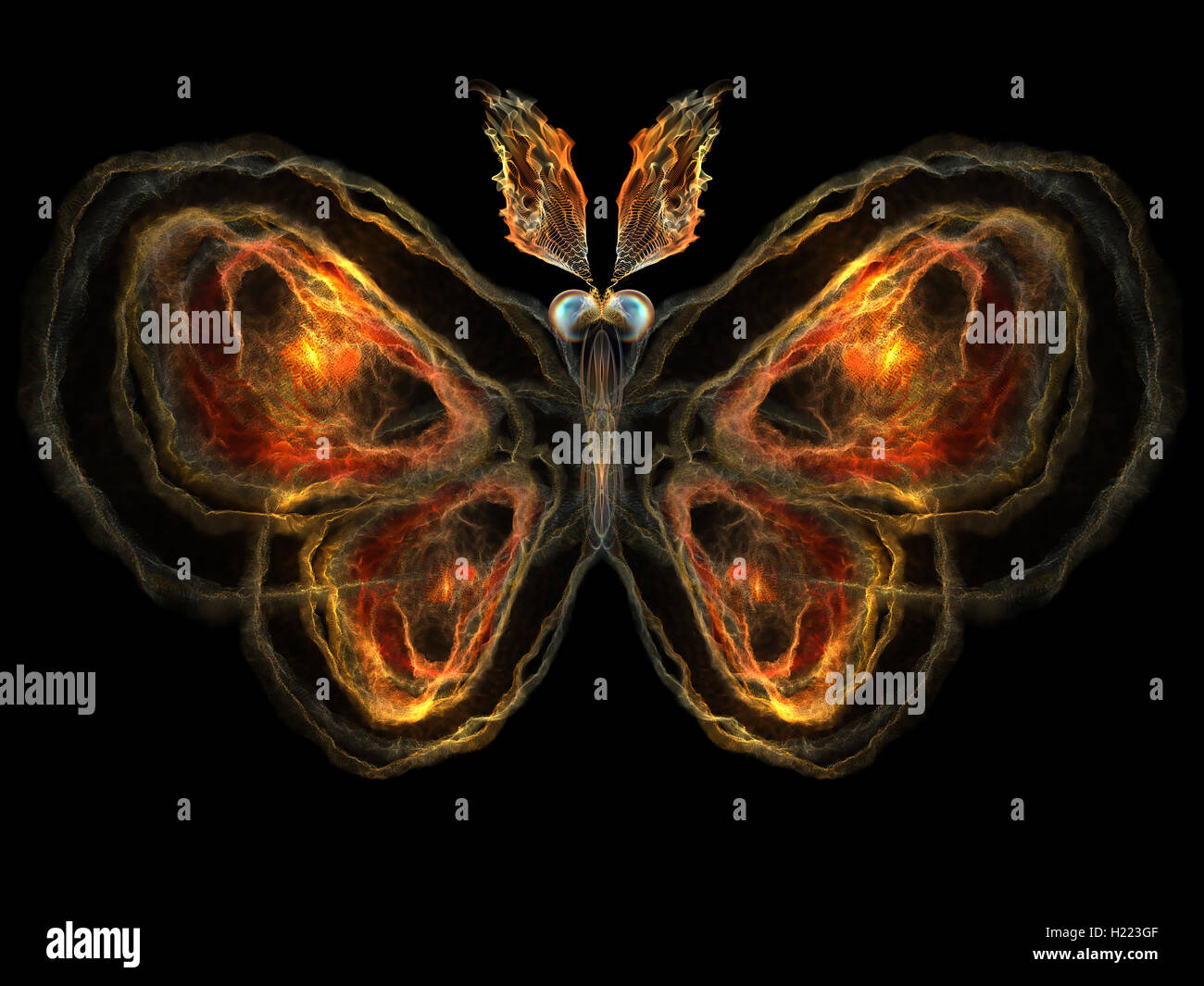 Fractal pattern flower hi-res stock photography and images - Alamy