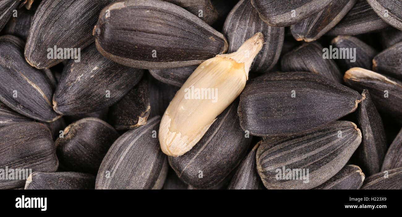 Close up of black sunflower seeds Stock Photo - Alamy