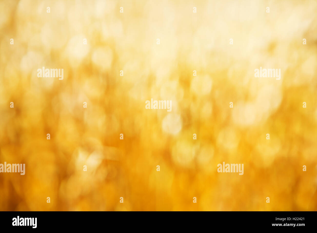 Shiny golden lights hi-res stock photography and images - Alamy