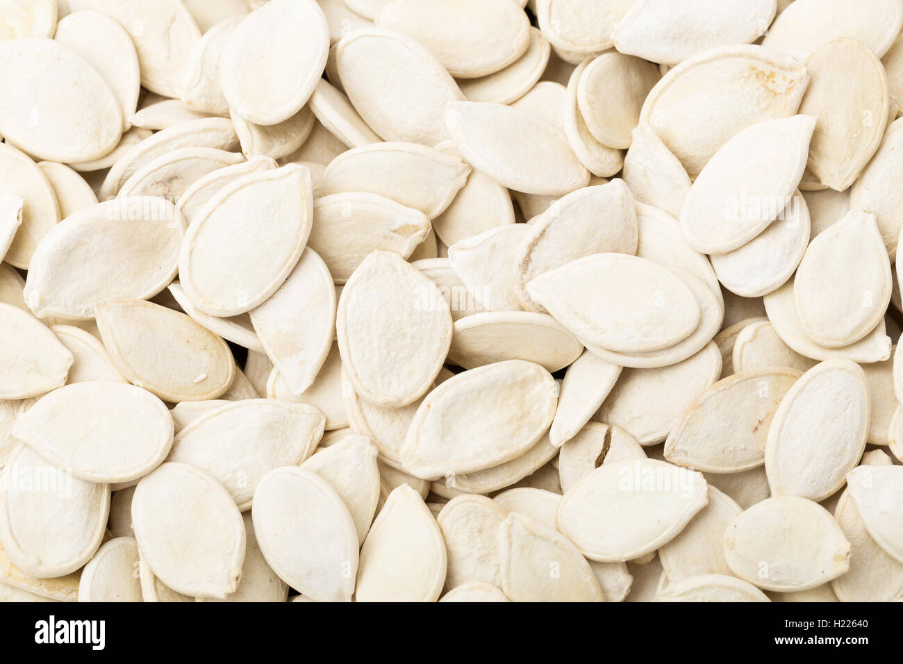 Seeds From White Pumpkin