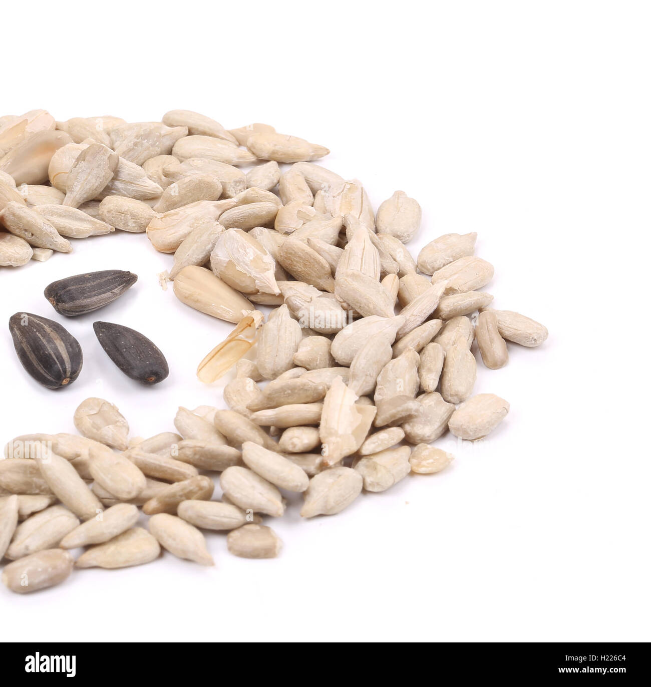 Black sunflower seeds in middle of white Stock Photo - Alamy