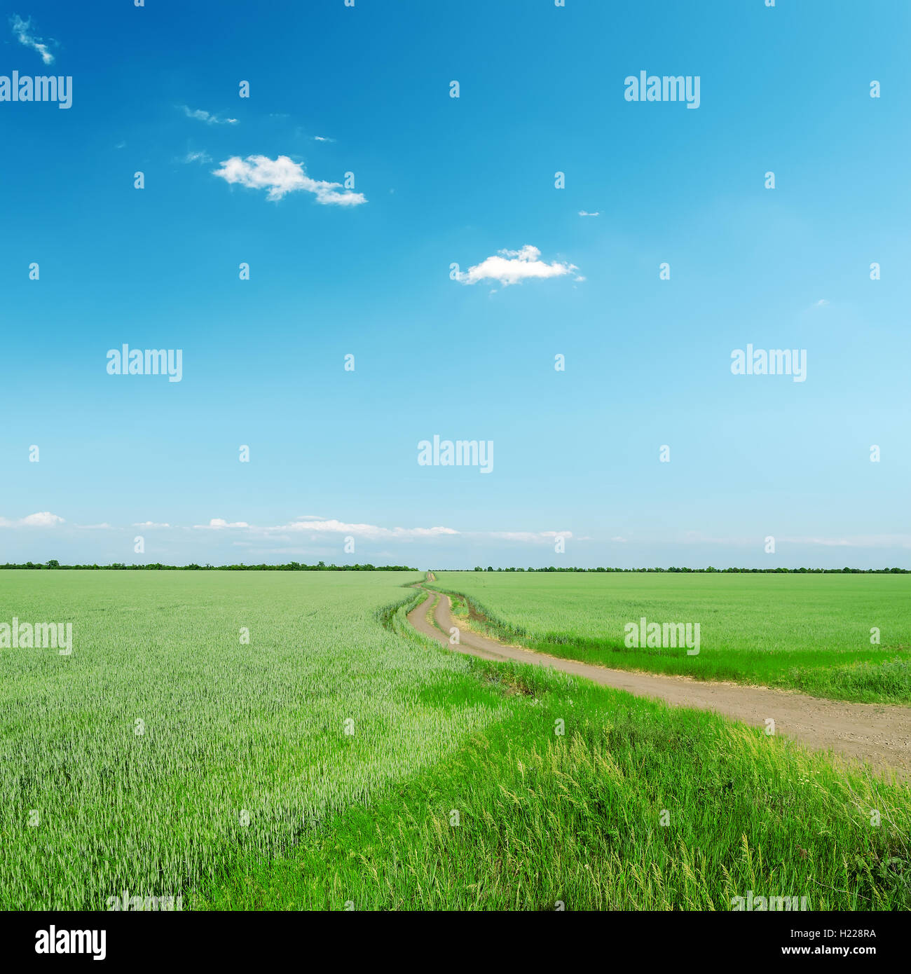 road in green field under blue sky Stock Photo - Alamy