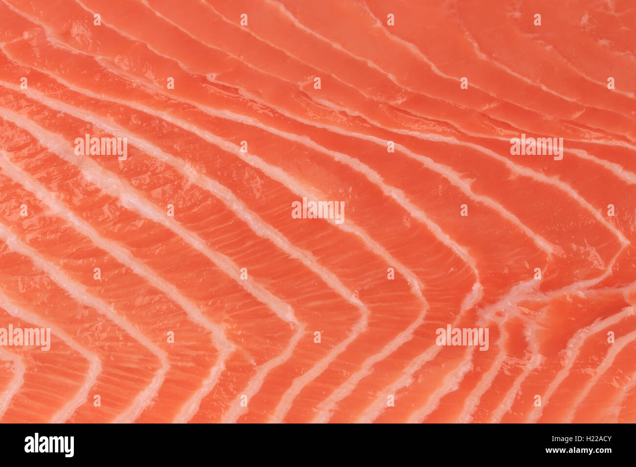Close up of salmon fillet. Macro Stock Photo Alamy