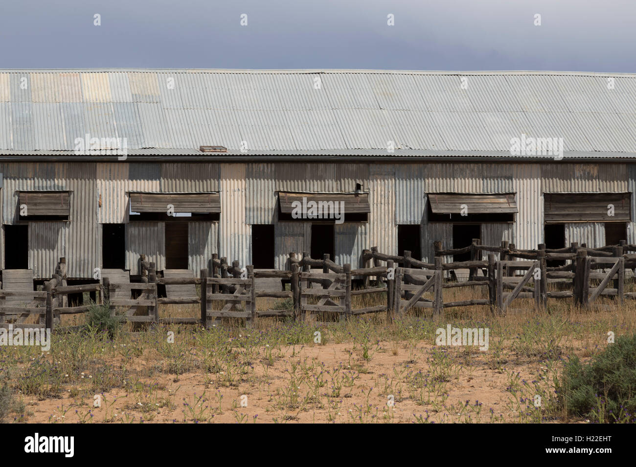 Historic Kinchega Woolshed Kinchega National Park Outback New South