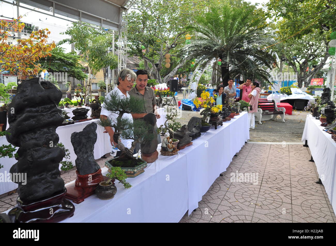 Nha Trang, Vietnam - February 5, 2016: Artisans are viewing at a bonsai contest in the lunar new year Stock Photo