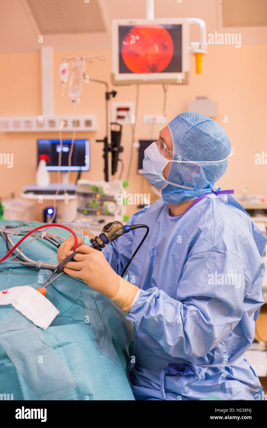Sinus surgery. Surgeons performing functional endoscopic sinus surgery. Stock Photo