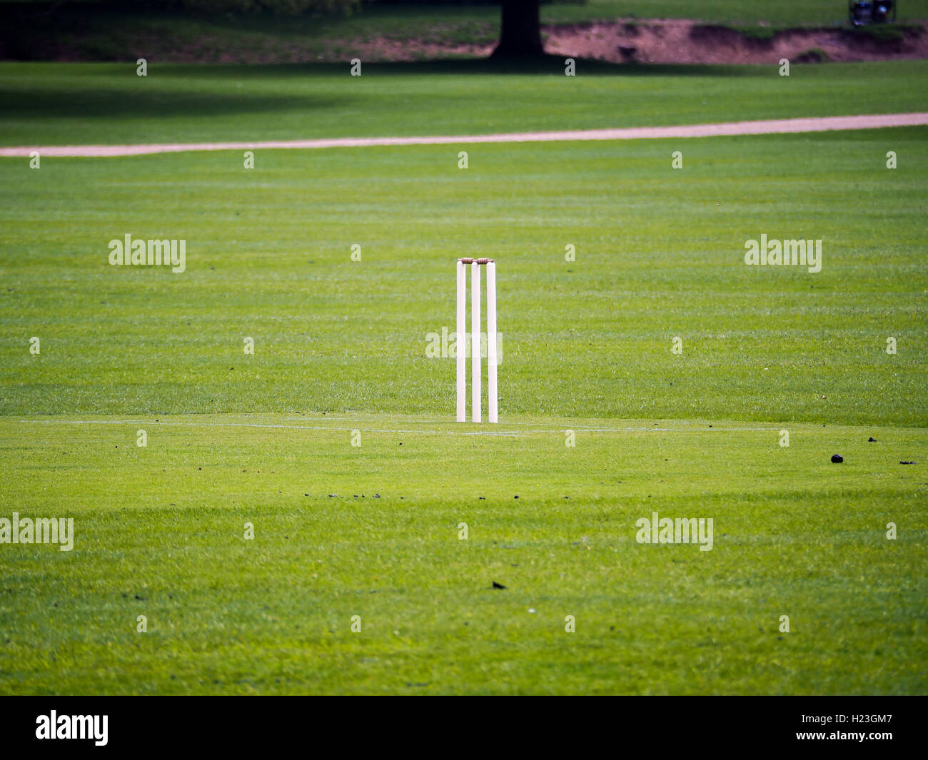 Cricket field pitch hires stock photography and images Alamy
