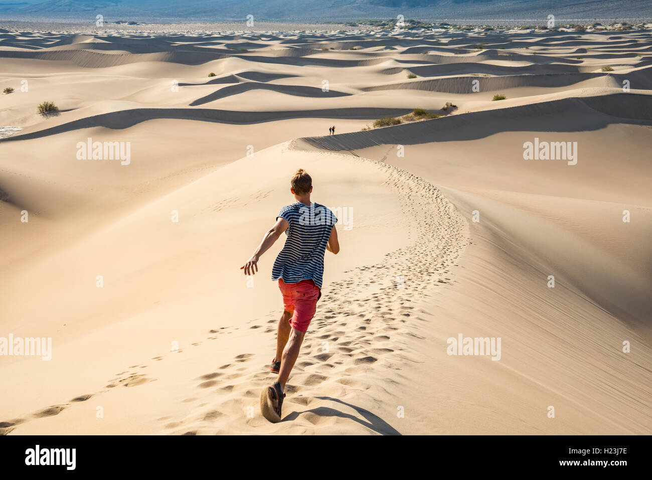 Young man, tourist running down sand dune, Mesquite Flat Sand Dunes, Death Valley, Death Valley National Park, California, USA Stock Photo