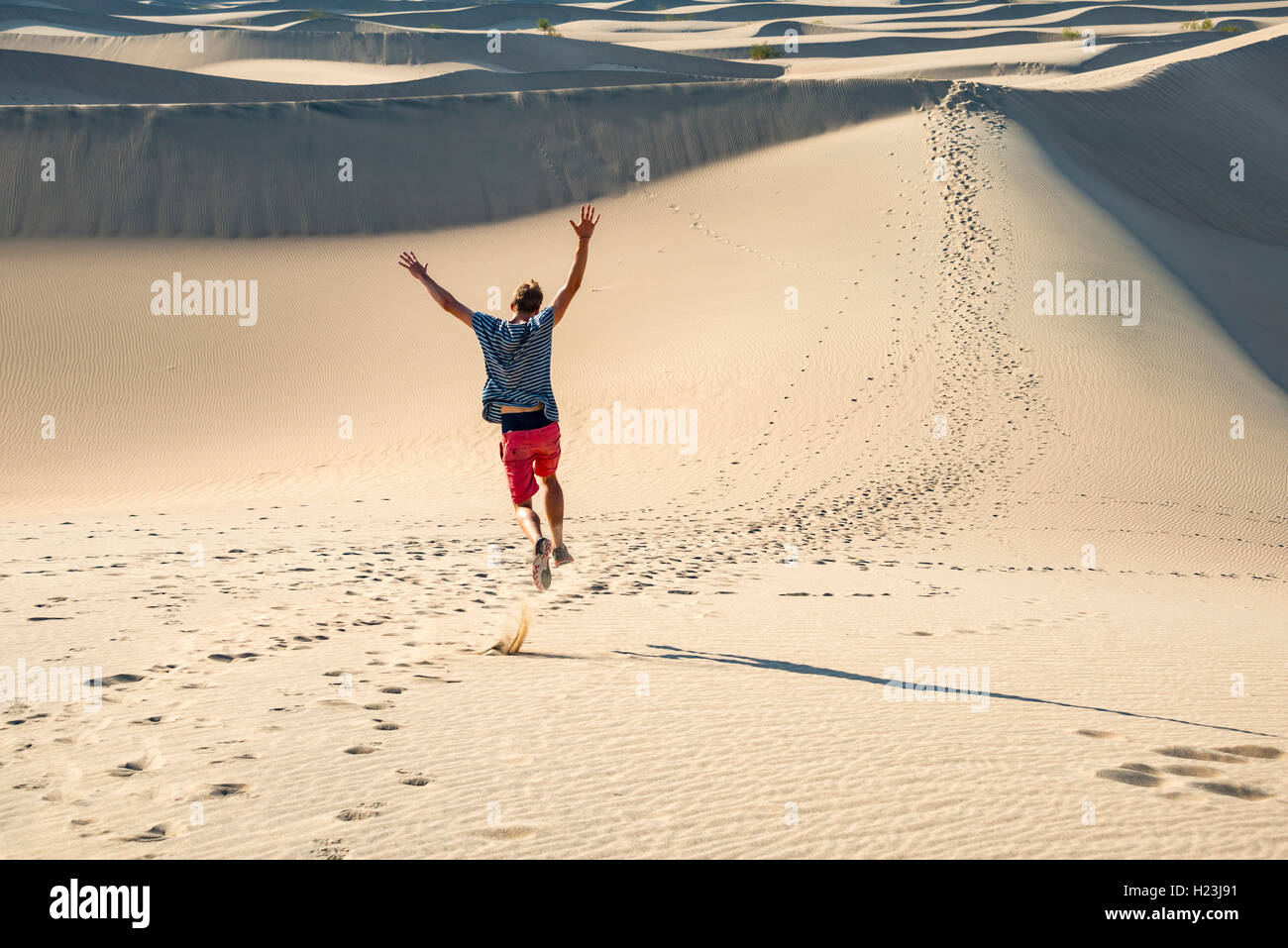 Young man, tourist running down sand dune, Mesquite Flat Sand Dunes, Death Valley, Death Valley National Park, California, USA Stock Photo