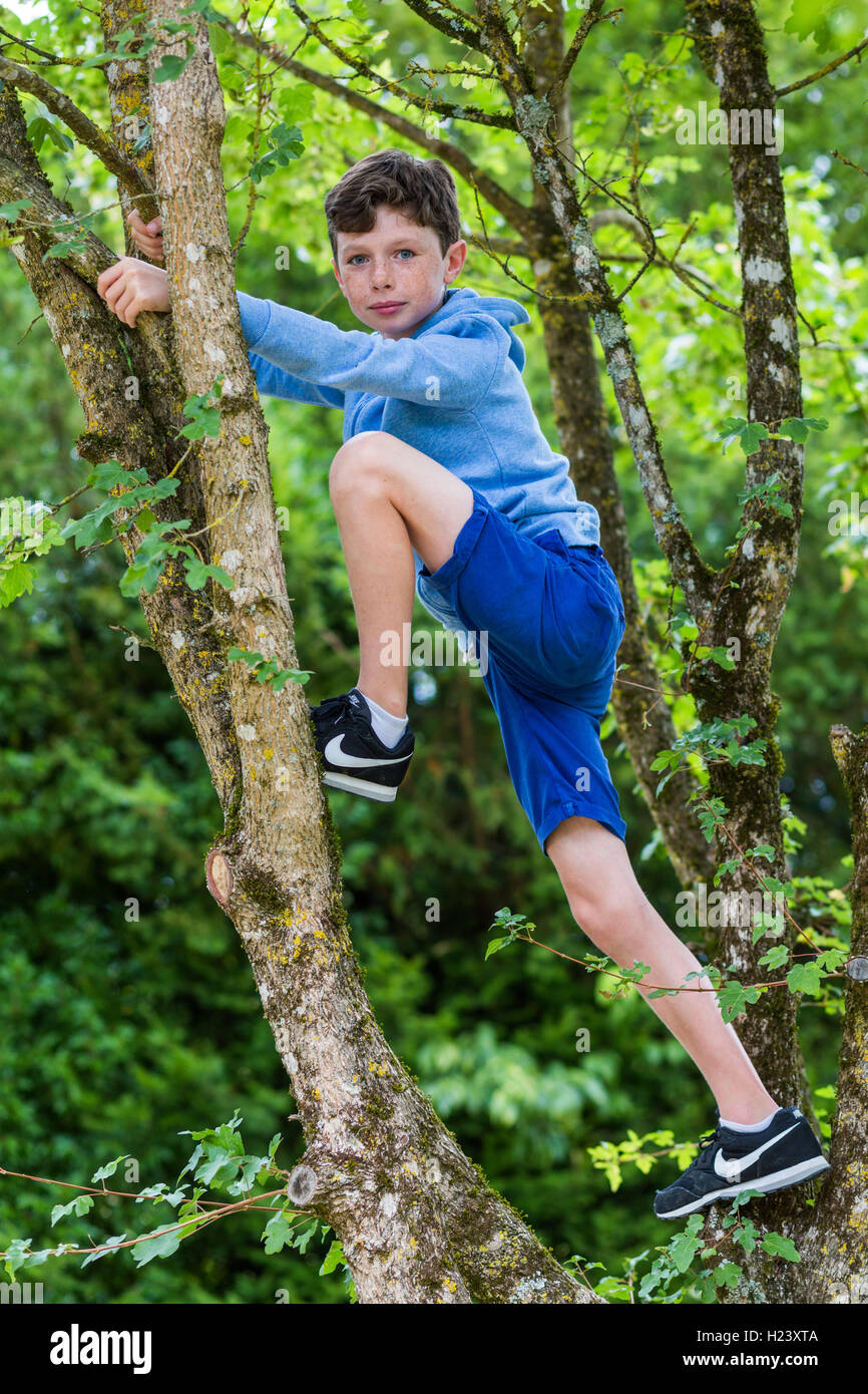 Dark haired boy 10 years old hires stock photography and images Alamy