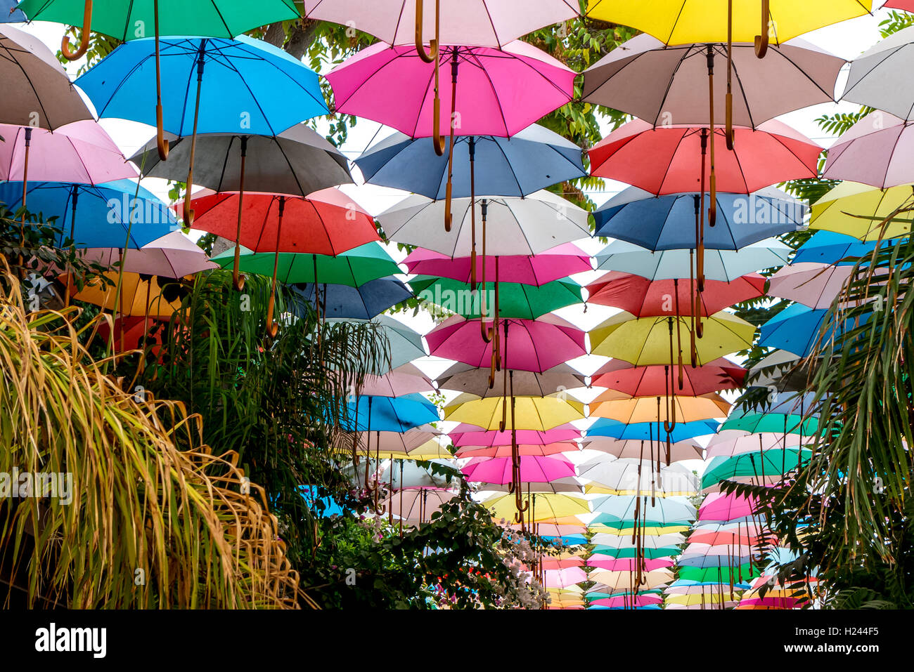 A street covered by colored umbrellas in Lefkosa / Nicosia Stock Photo