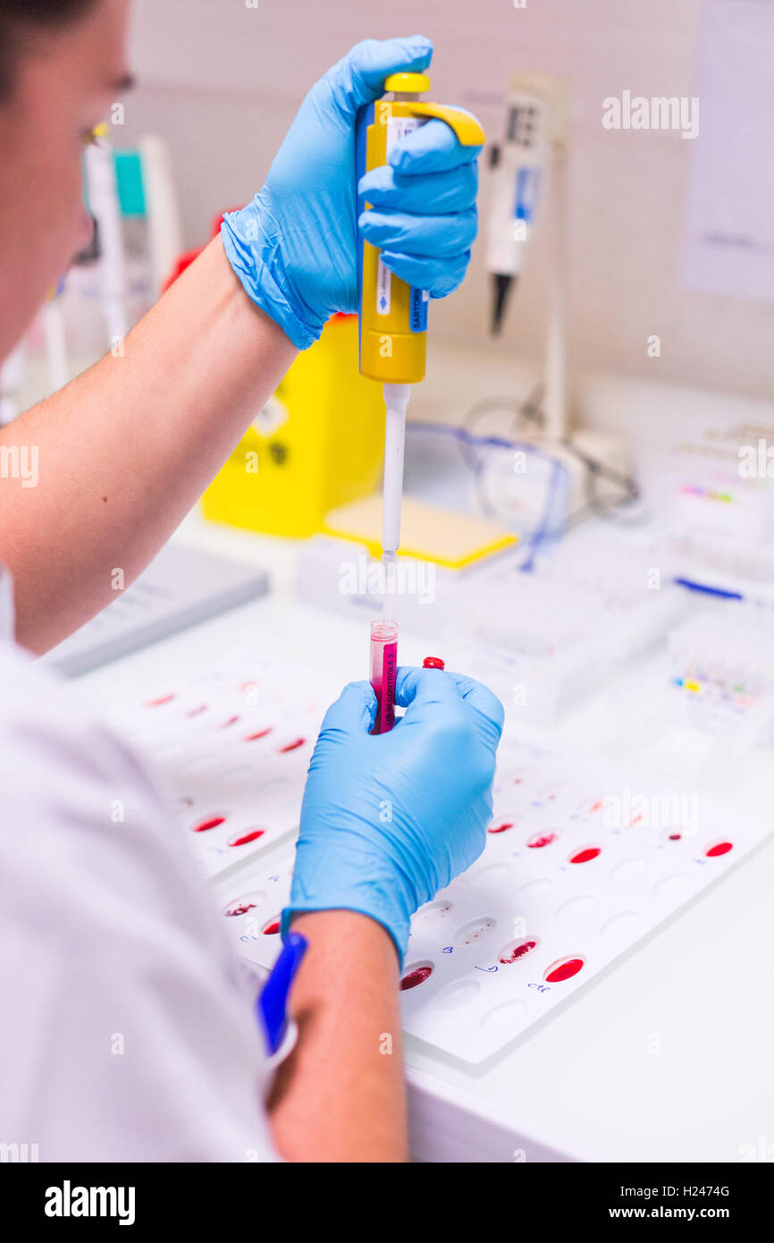 Blood group test, Angouleme hospital laboratory, France. Stock Photo