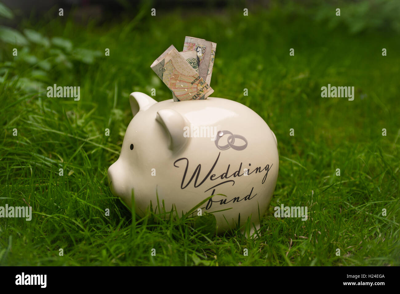 wedding saving piggy bank Stock Photo Alamy