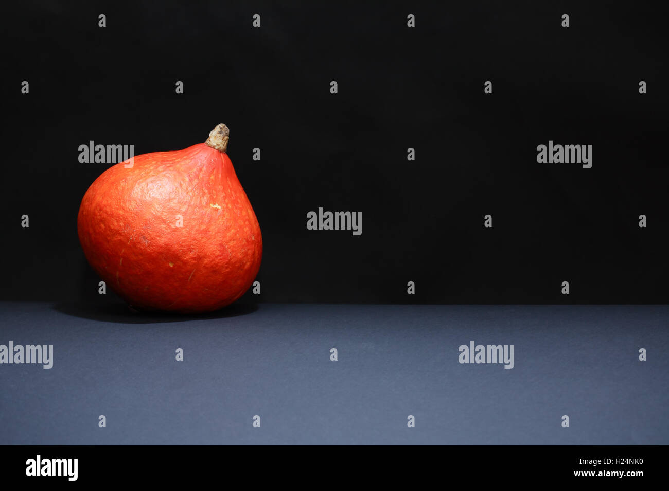 One ripe pumpkin on dark background with free space Stock Photo - Alamy
