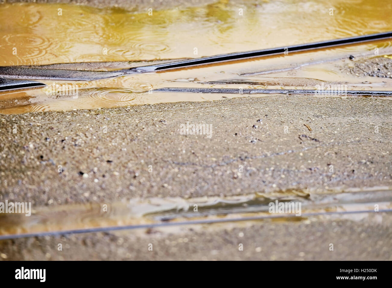 Detail shot with tramway track during rainfall Stock Photo
