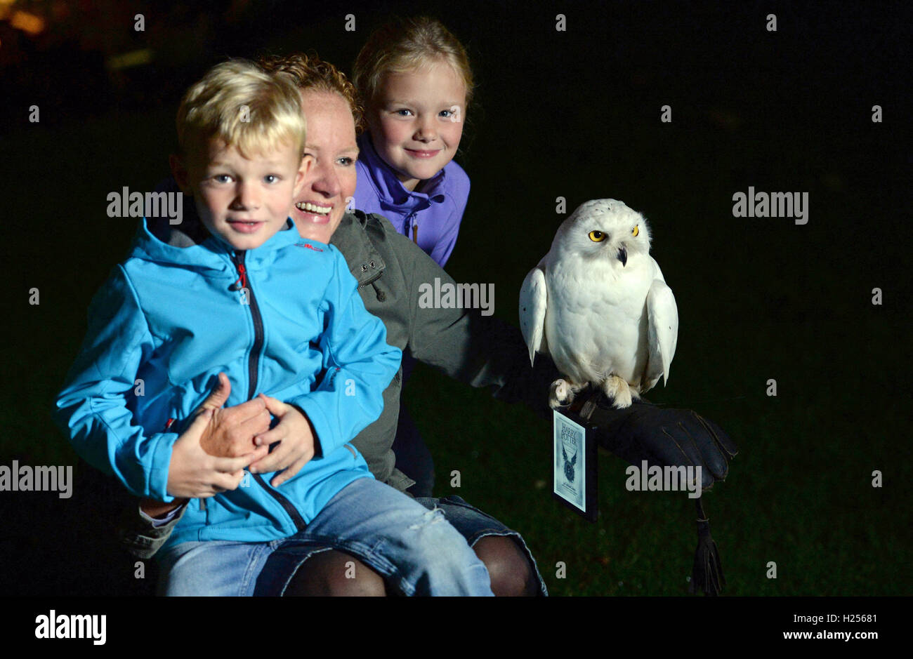 Munich, Germany. 24th Sep, 2016. Snow owl Hedwig sits on the hand of Michaela Schuett with a Kindle eBook reader showing the cover of the new Harry Potter book 'Harry Potter and the Cursed Child' in a garden in Munich, Germany, 24 September 2016. At the stroke of midnight the snow owl brought siblings Noah (5) and Sarah (7) the continuation of Harry Potter. Amazon shipping company randomly picked the family for the special delivery method. Photo: ANDREAS GEBERT/dpa/Alamy Live News Stock Photo