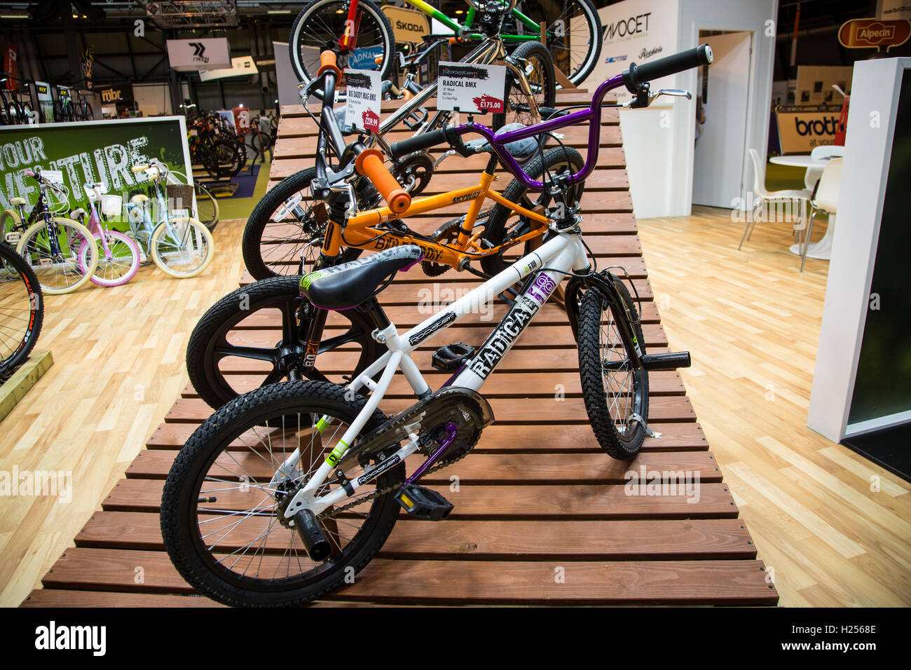 avocet bicycle