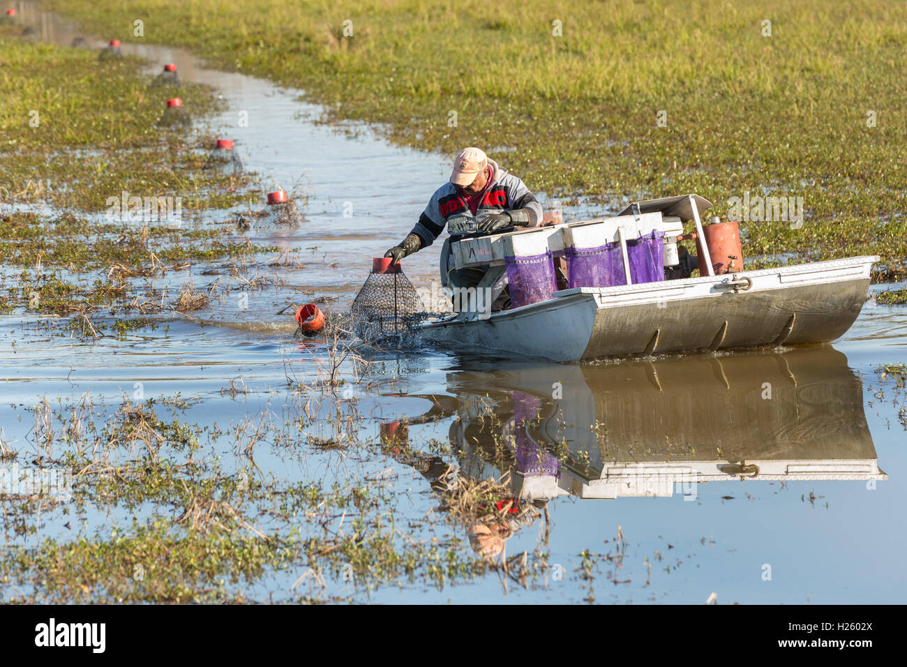 Crawfish Boat Toddler