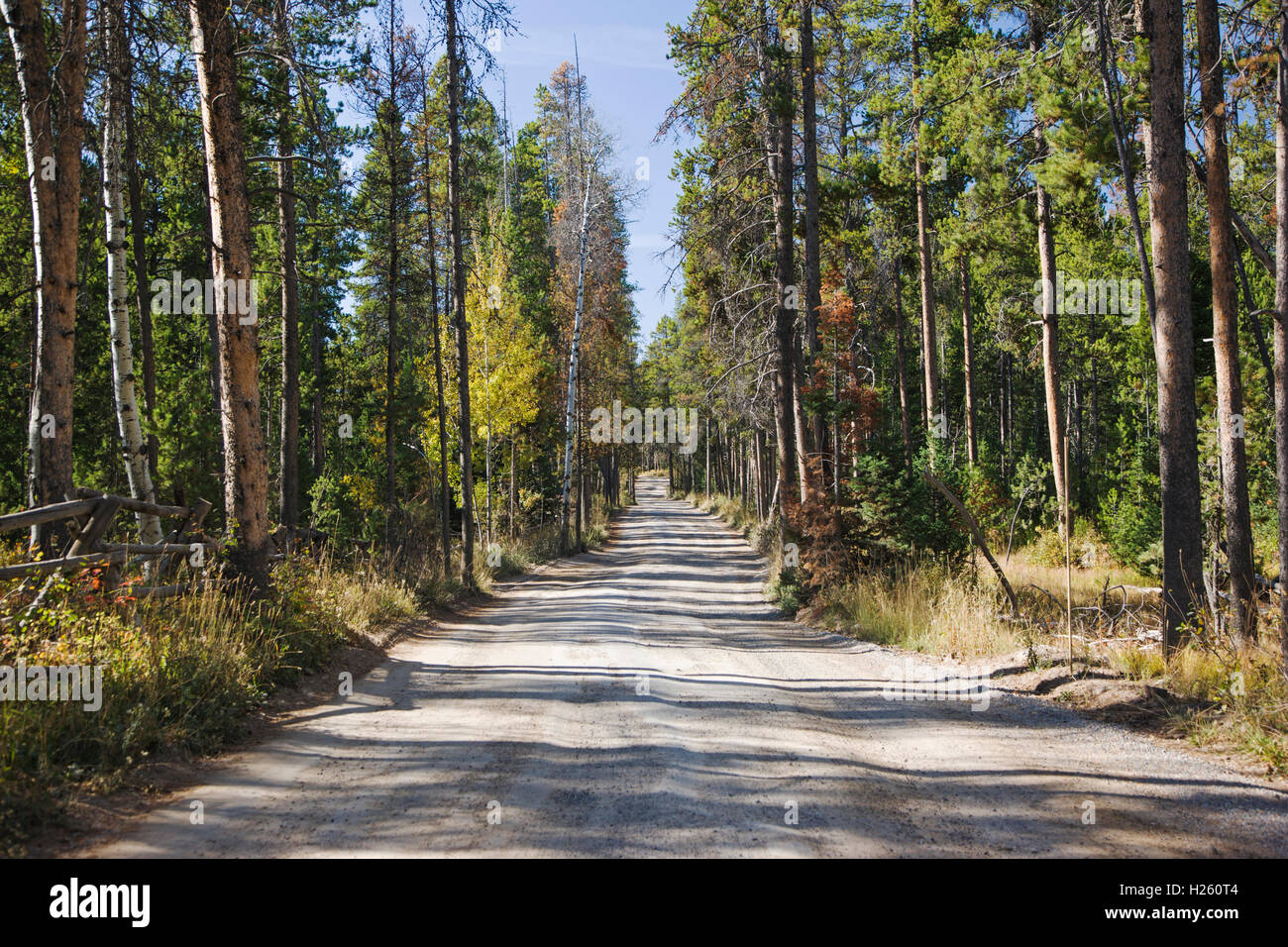 Moose Wilson Road, near Granite Canyon, Grand Teton National Park