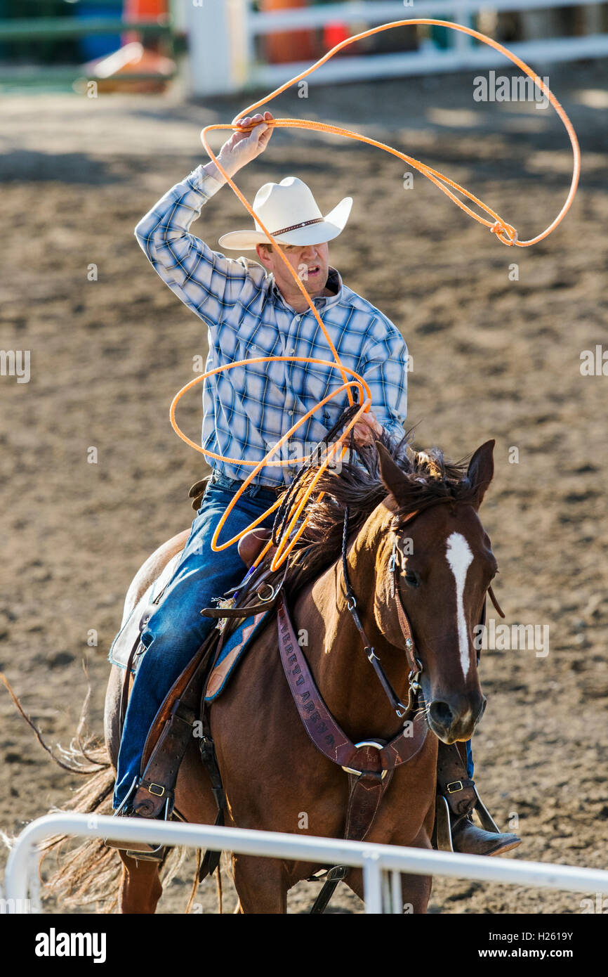 Rodeo Cowboy Stock Photos & Rodeo Cowboy Stock Images - Alamy