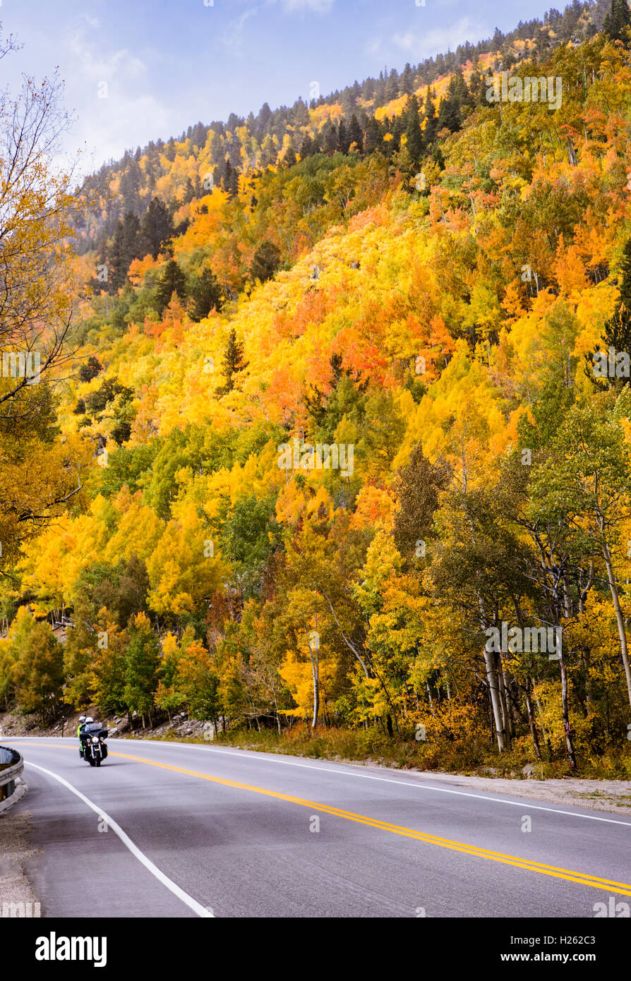 Motorcycle on USA Highway 50 & fall foliage near Monarch Pass; Central Colorado; USA Stock Photo