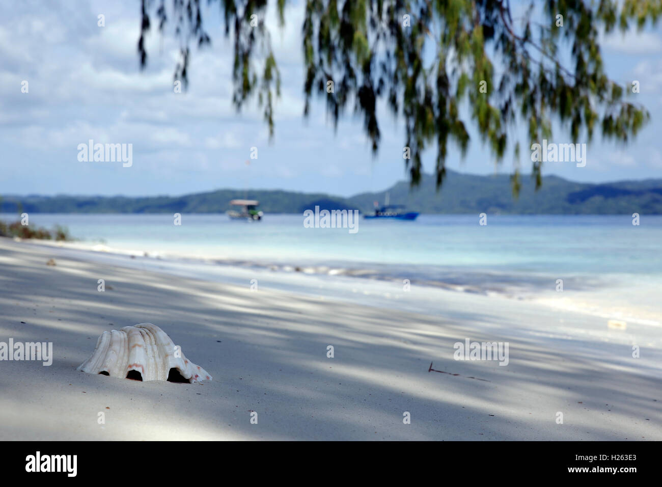 Sea Shell in the Sand, with Boats in the Background. Dampier Strait, Raja Ampat, Indonesia Stock Photo