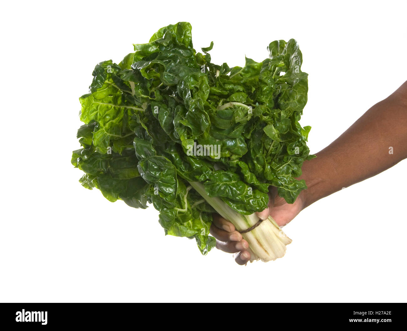 African Spinach High Resolution Stock Photography And Images Alamy