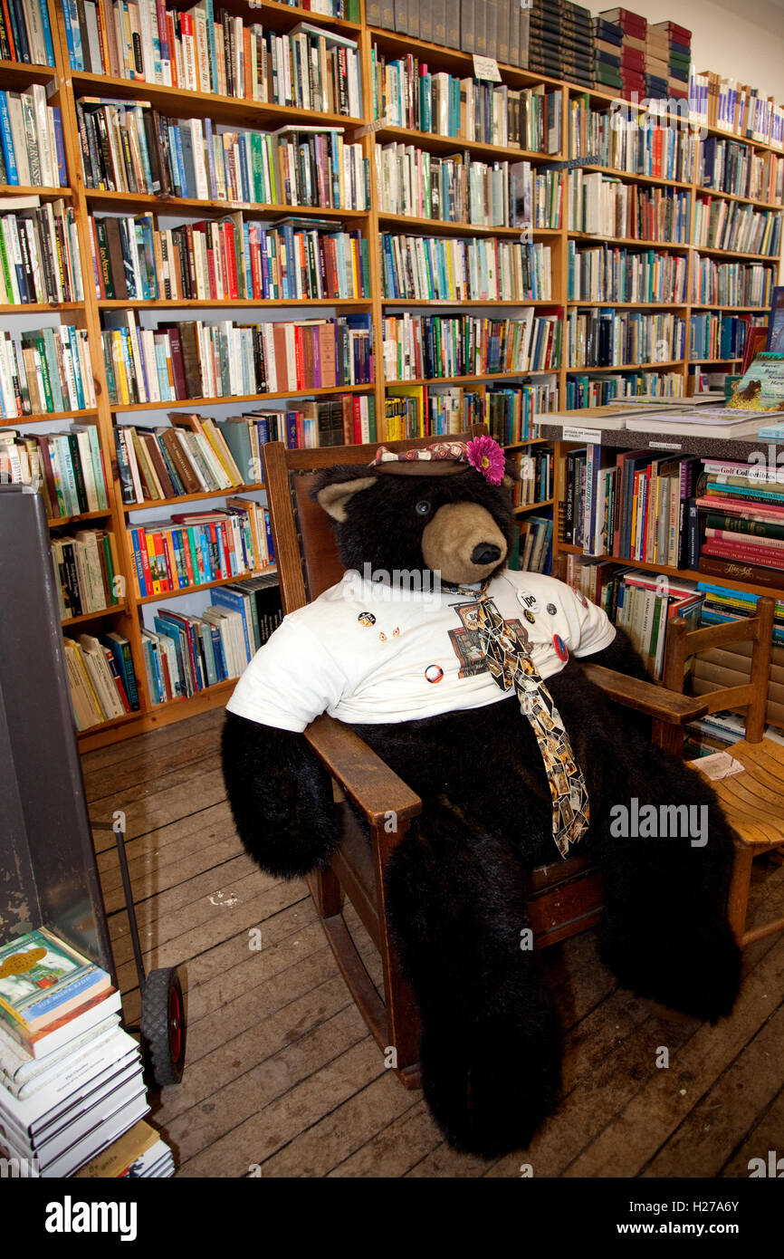 Imposing large stuffed bear wearing a tie is store mascot of Chequamegon Bookstore. Washburn Wisconsin WI USA Stock Photo