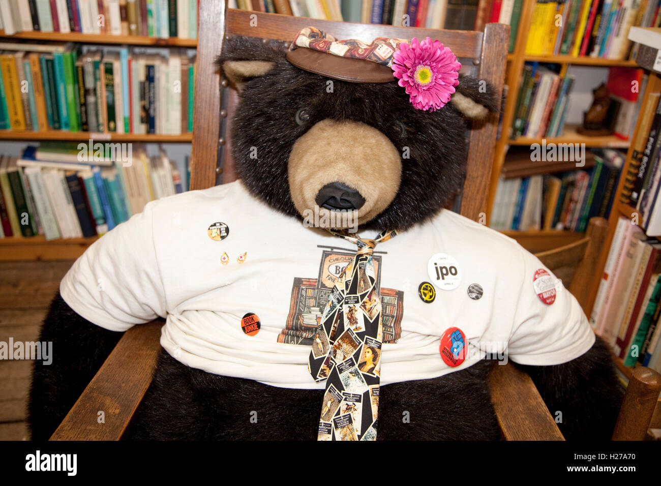 Portrait of Imposing large stuffed bear wearing a tie is store mascot of Chequamegon Bookstore. Washburn Wisconsin WI USA Stock Photo