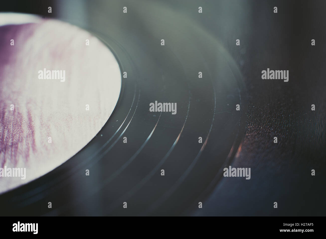 Lp record section extreme close up, black grooves detail and purple ...