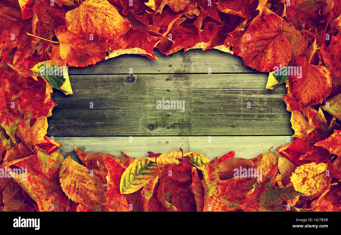 The frame of the old multi-colored autumn leaves on the old wooden ...