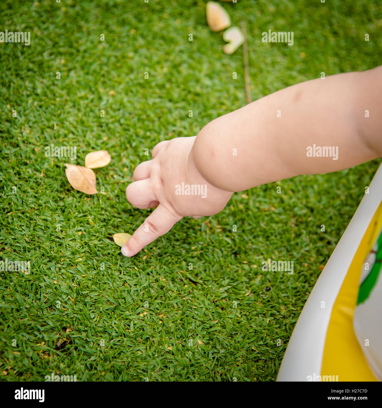 baby finger, baby use finger touching dry leaf on the green glass field