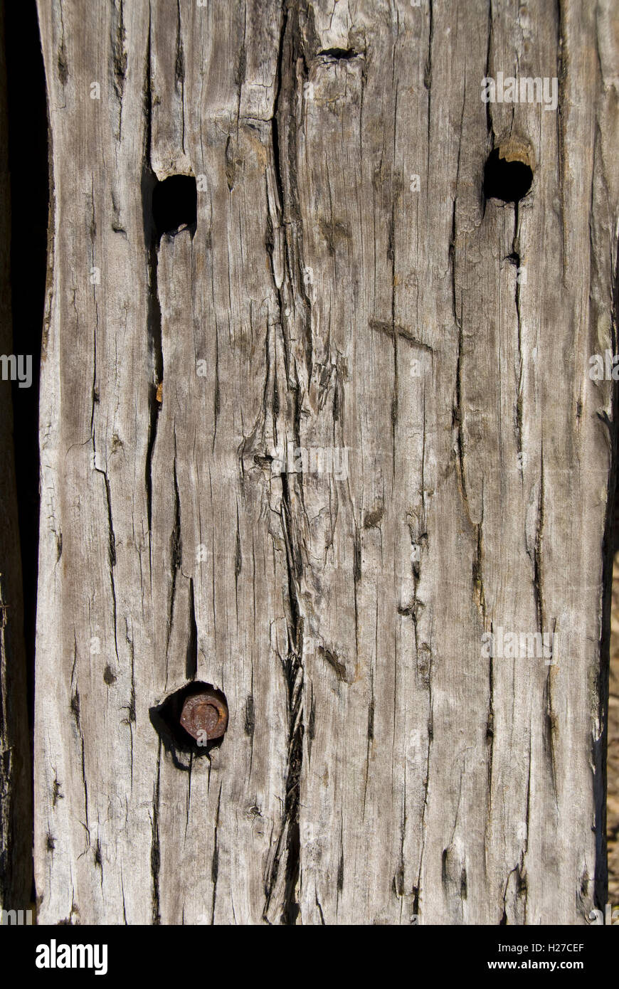 Bolt holes in a piece of old grey cracked and weathered timber Stock Photo