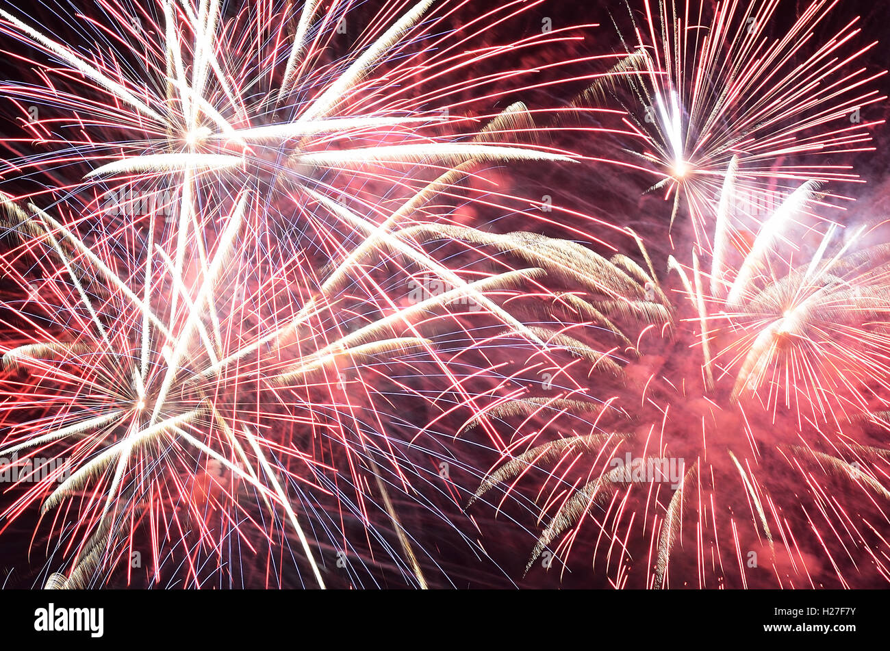 Amazing fireworks in the sky in the night Stock Photo