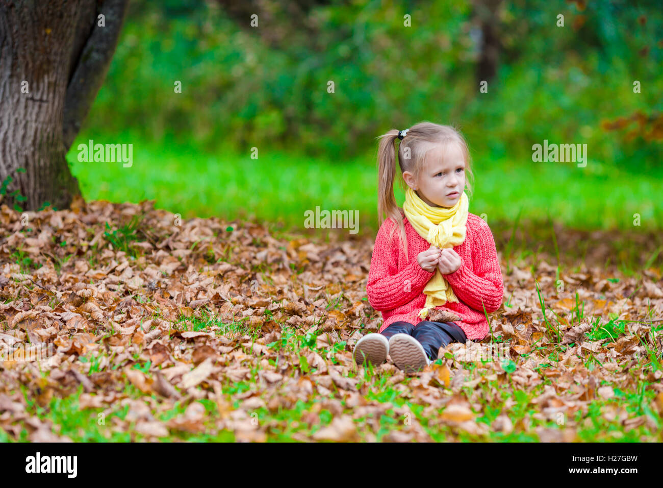 Adorable little girl with autumn leaves in the beautiful park Stock ...