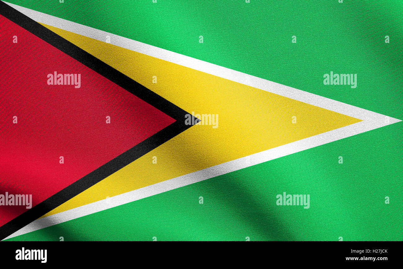 Guyanan National Official Flag Patriotic Symbol Banner Element