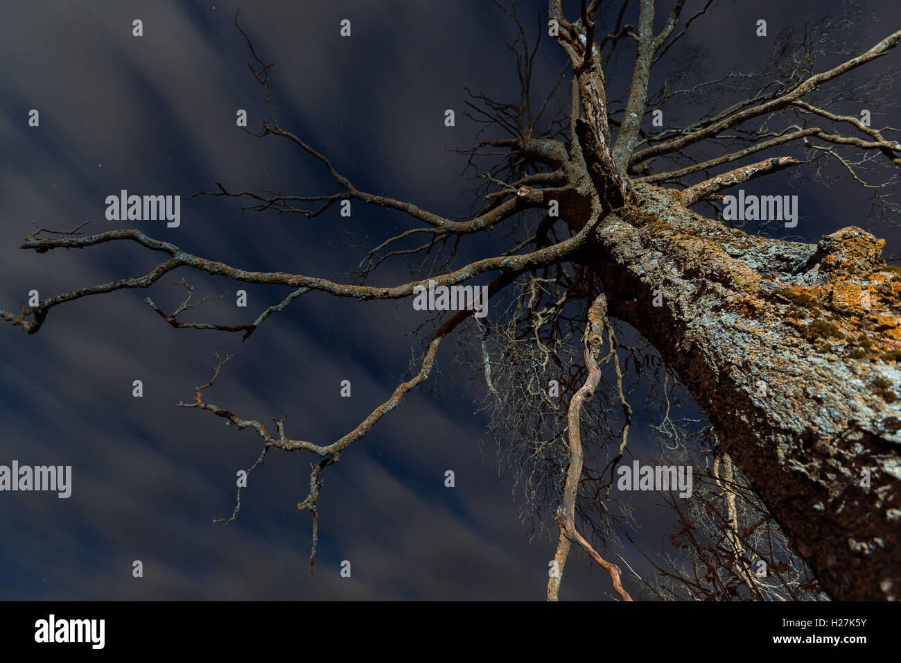 Scary angle hi-res stock photography and images - Alamy