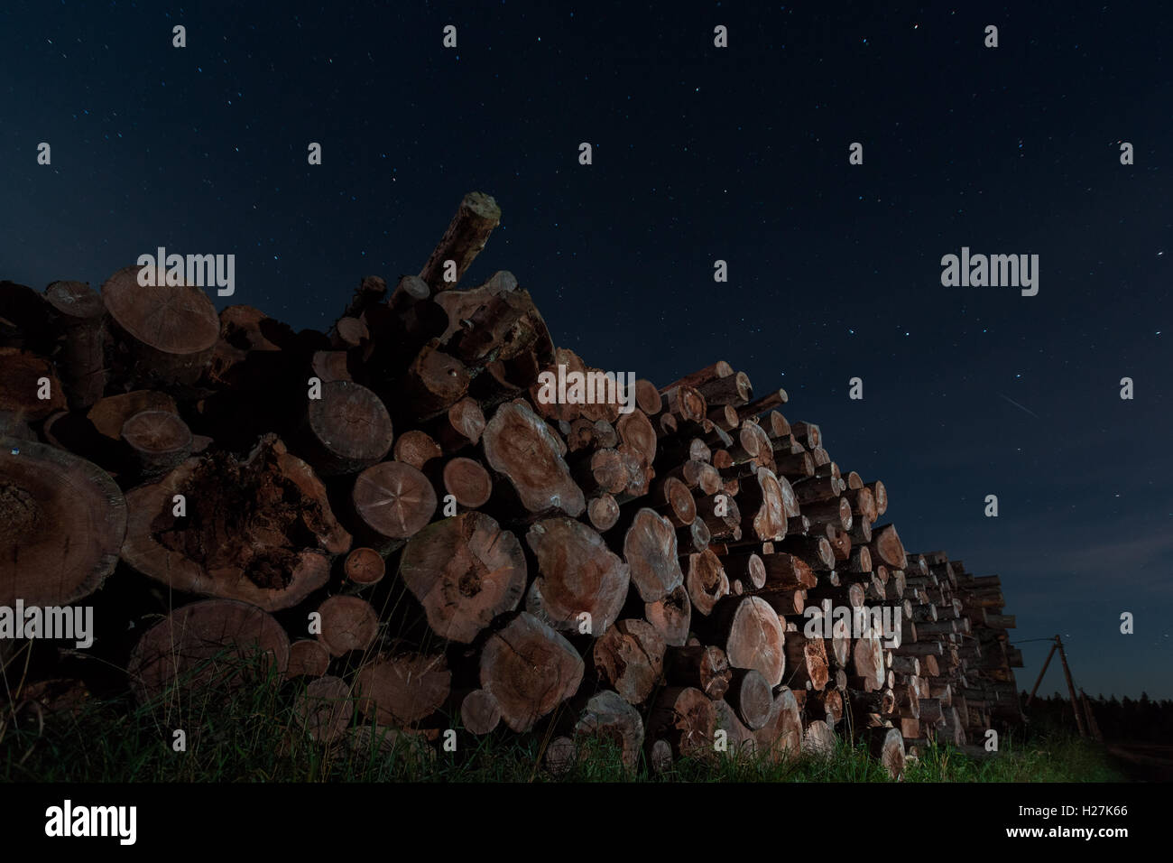 logs stacked at night Stock Photo
