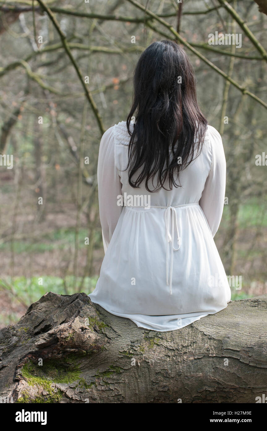 Rear view of a young woman in Victorian dress sat on the tree in the countryside Stock Photo