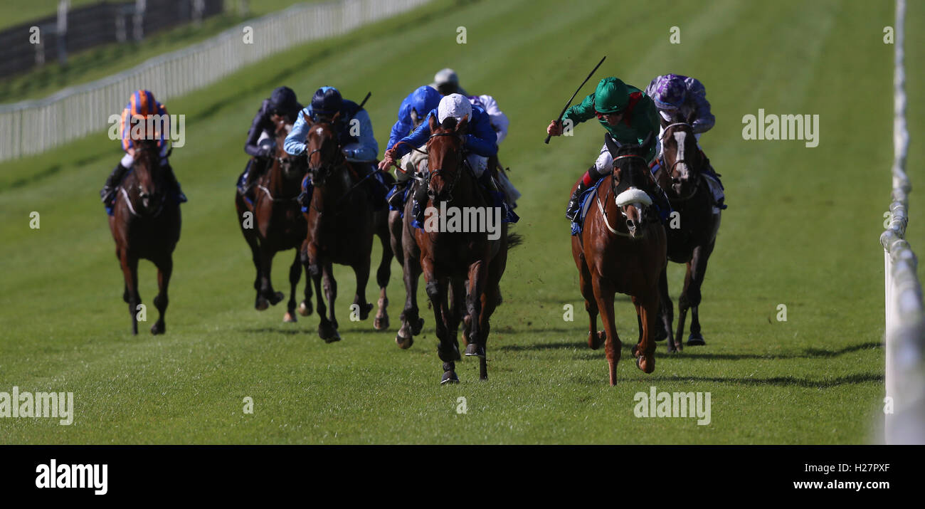 Eziyra ridden by Pat Smullen wins The C.L. & M.F. Weld Park Stakes at Curragh Racecourse, County Kildare. Stock Photo