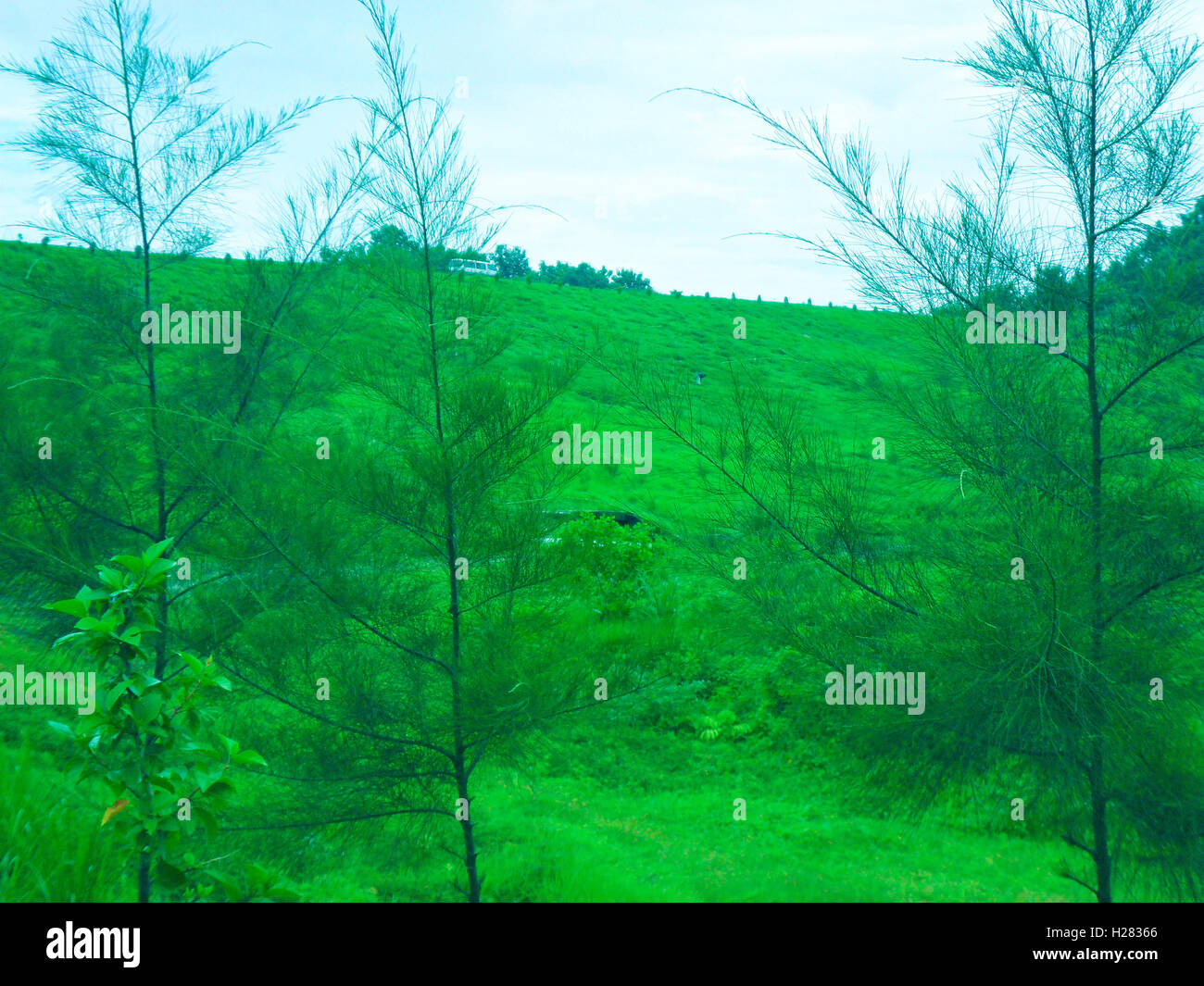 Chittagong hills of Bangladesh Stock Photo