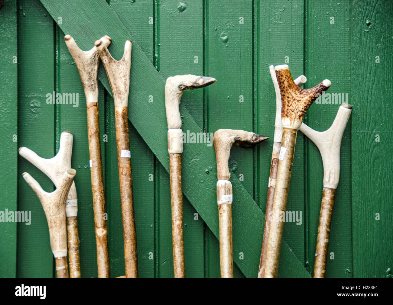 deer antler sticks