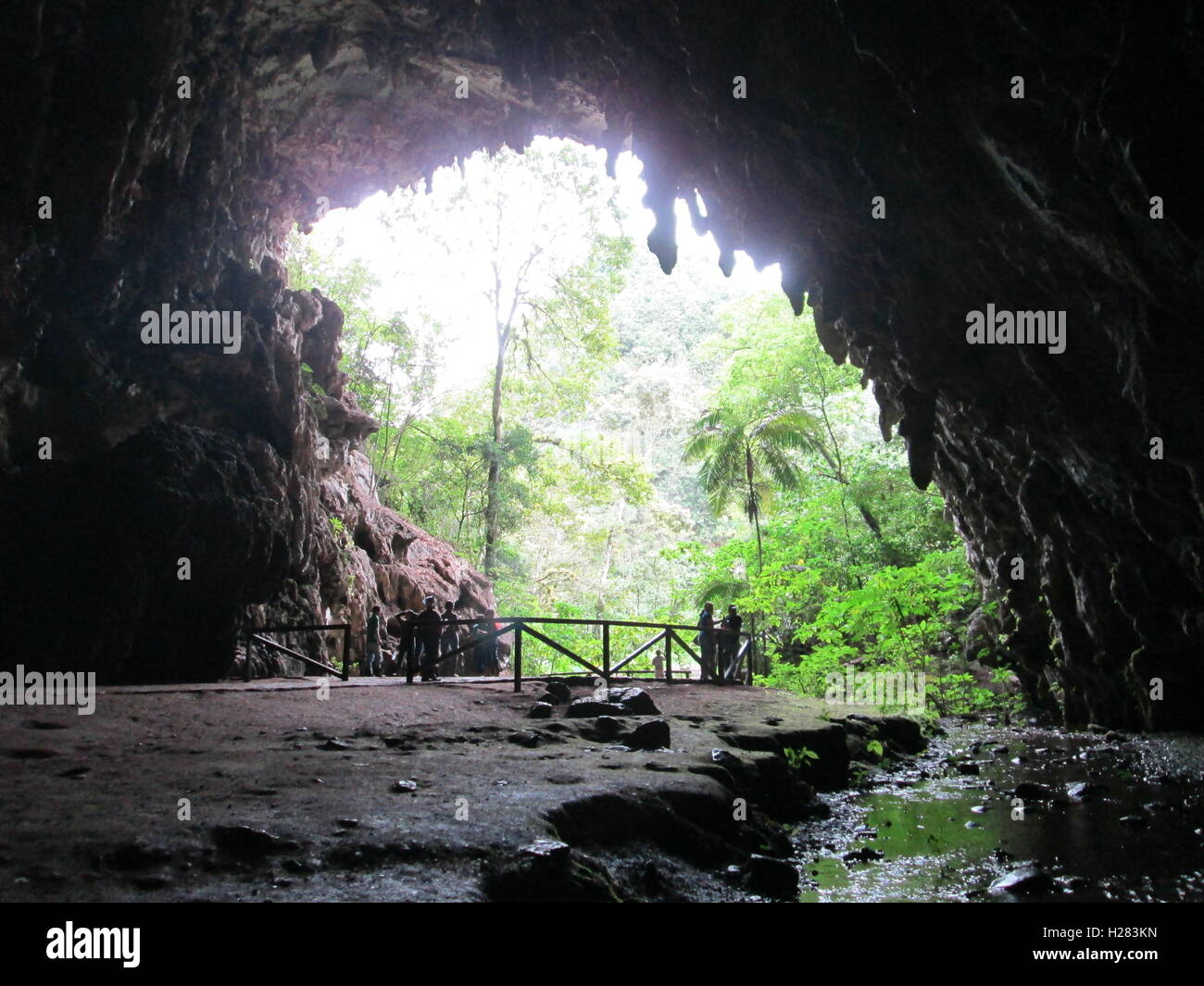 The Guacharo Cave National Park Caripe, Monagas, Venezuela. Stock Photo