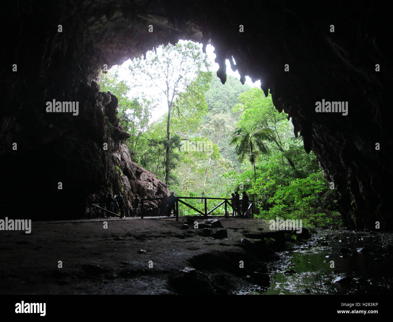 The Guacharo Cave National Park Caripe, Monagas, Venezuela. Stock Photo