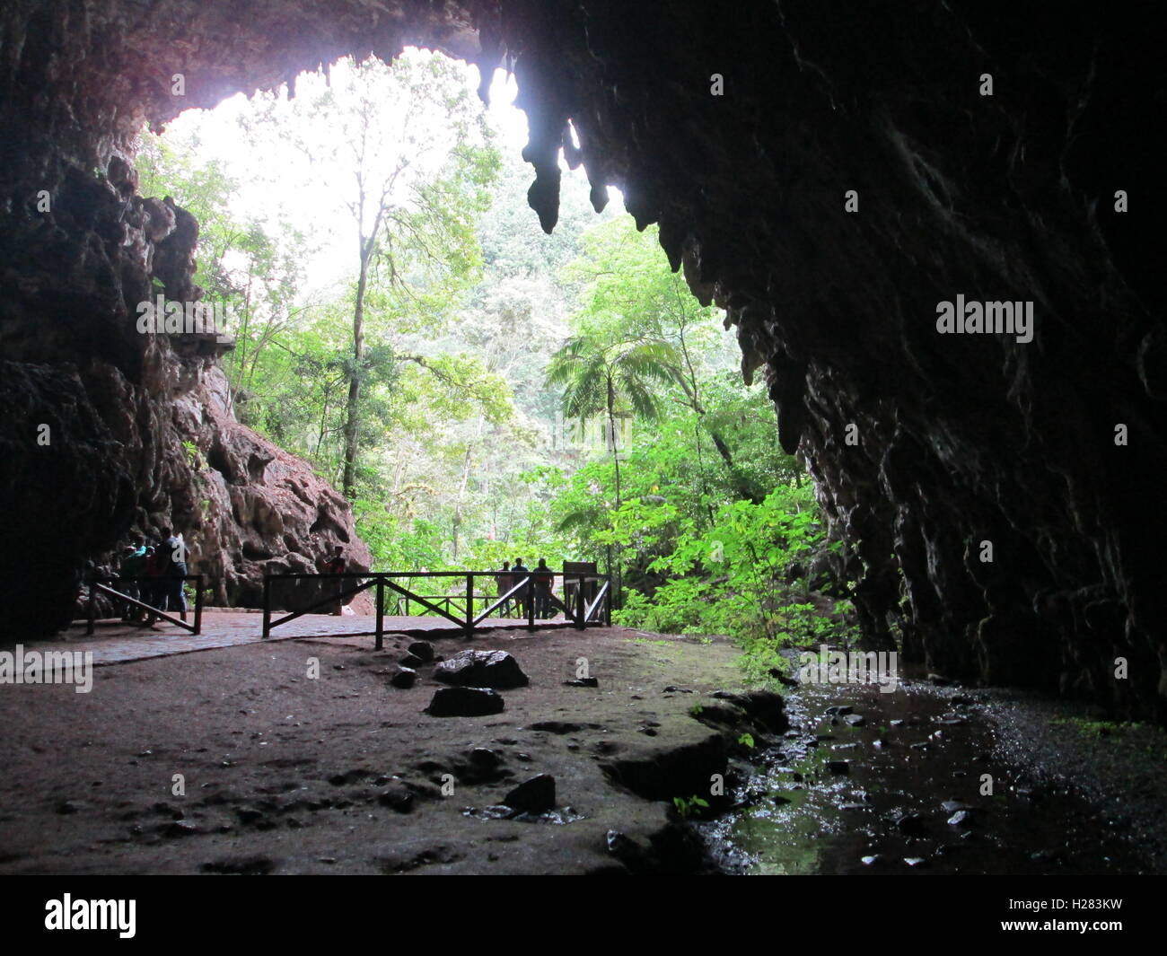 Guacharo Cave National Park Stock Photo